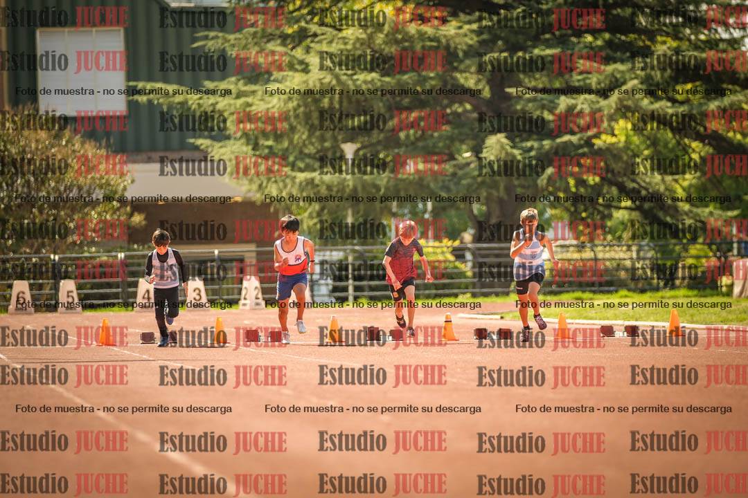 Fotos de los 50 m llanos de varones - U12