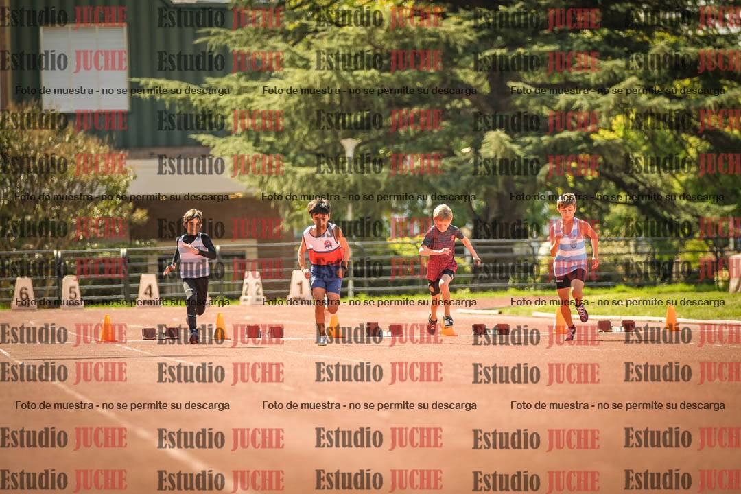 Fotos de los 50 m llanos de varones - U12