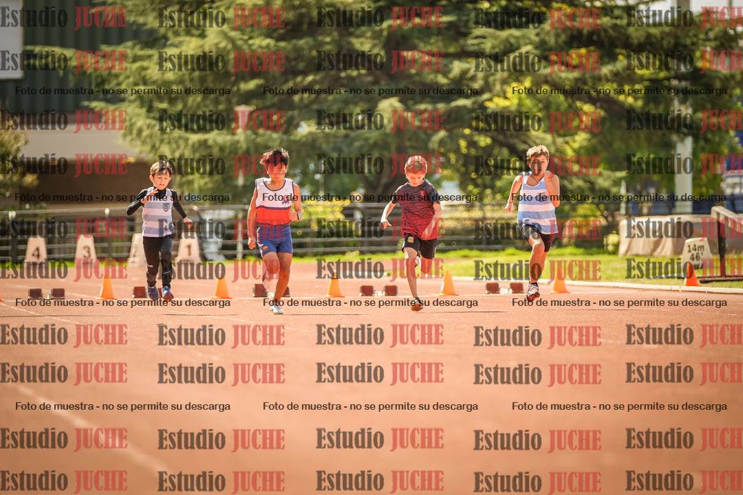 Fotos de los 50 m llanos de varones - U12