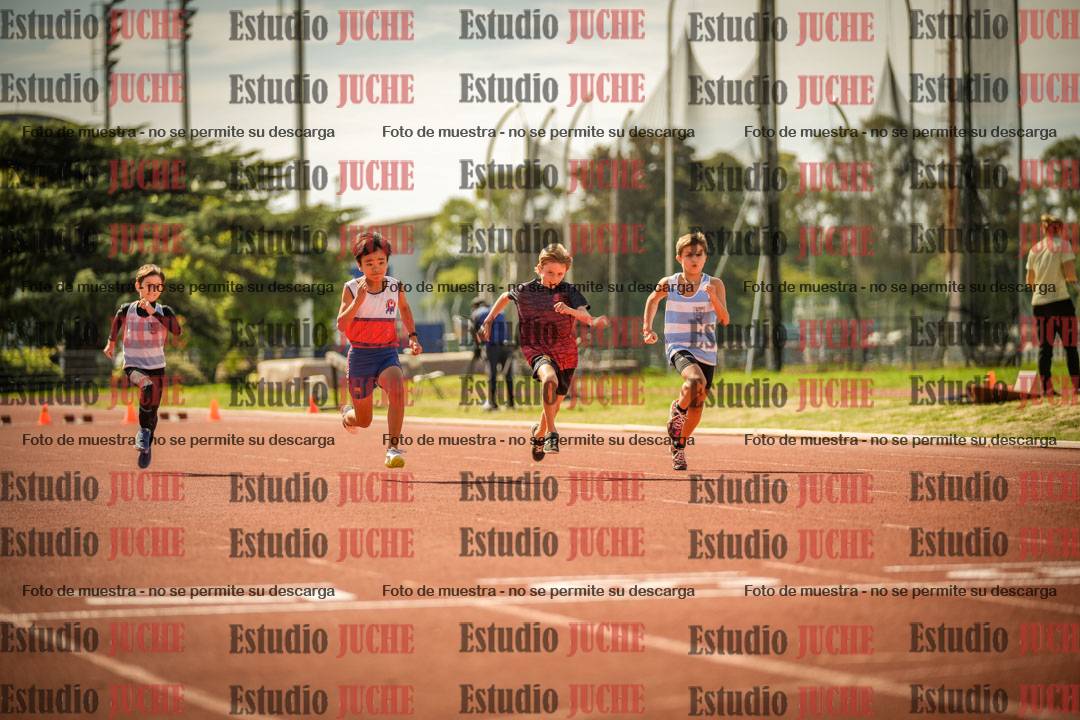 Fotos de los 50 m llanos de varones - U12