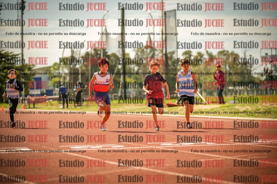 Fotos de los 50 m llanos de varones - U12