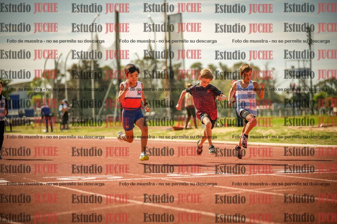 Fotos de los 50 m llanos de varones - U12