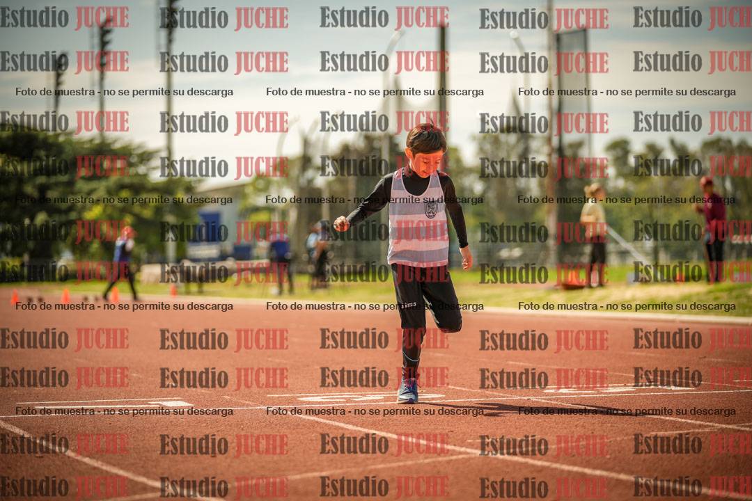 Fotos de los 50 m llanos de varones - U12