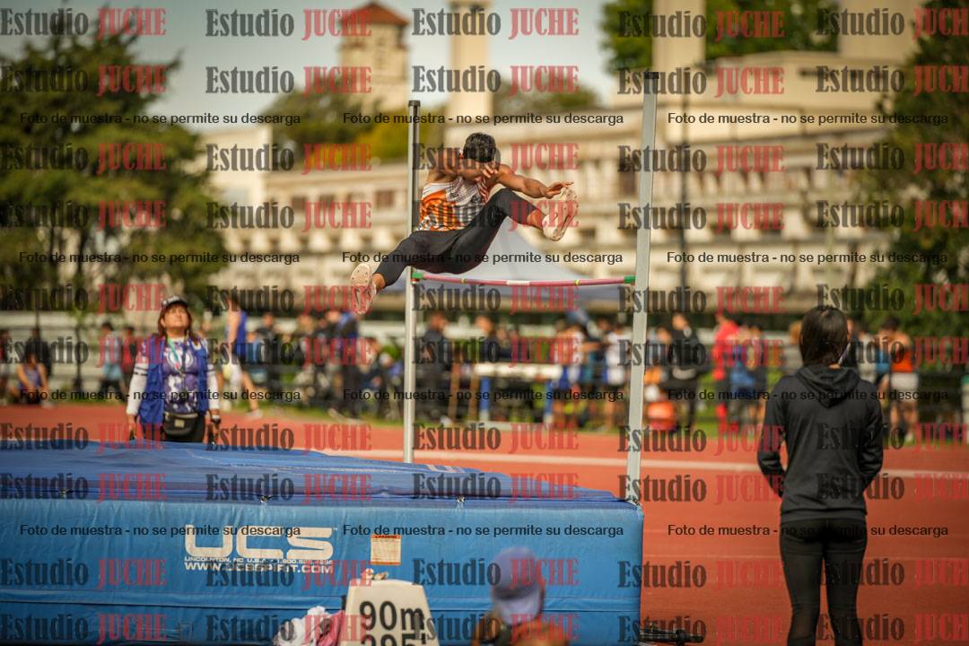 Fotos del salto en alto - incluye todos los grupos