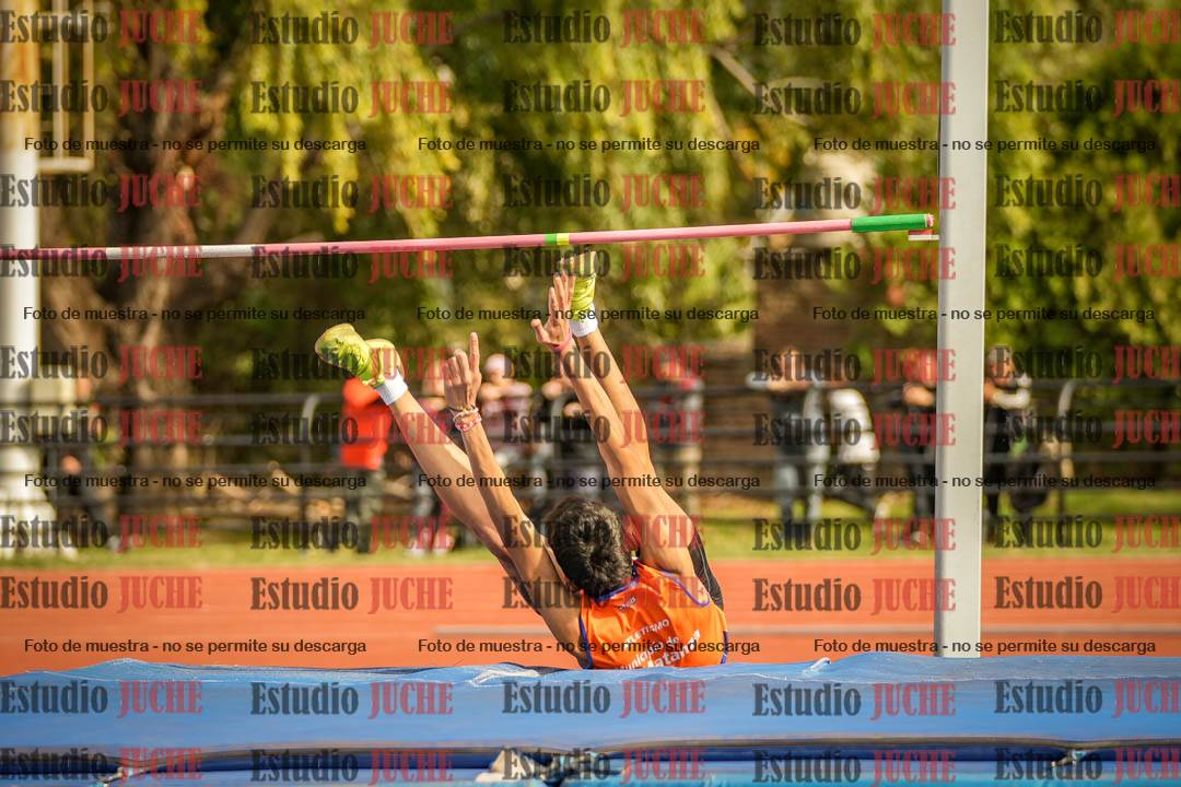 Fotos del salto en alto - incluye todos los grupos