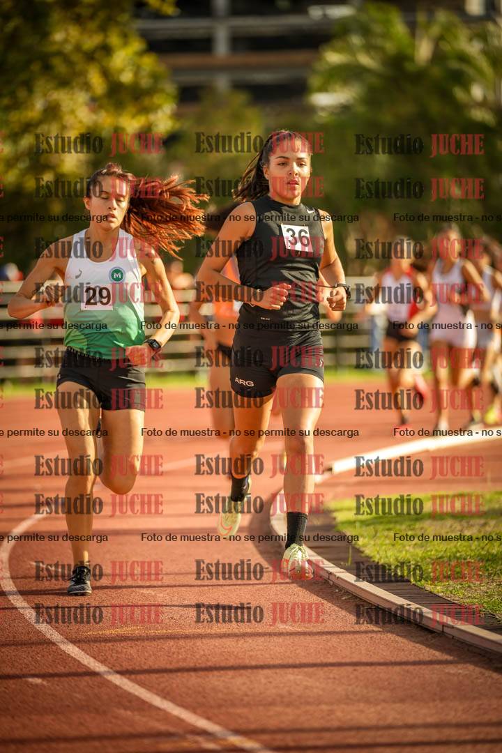 Fotos de los 1500 m llanos de mujeres