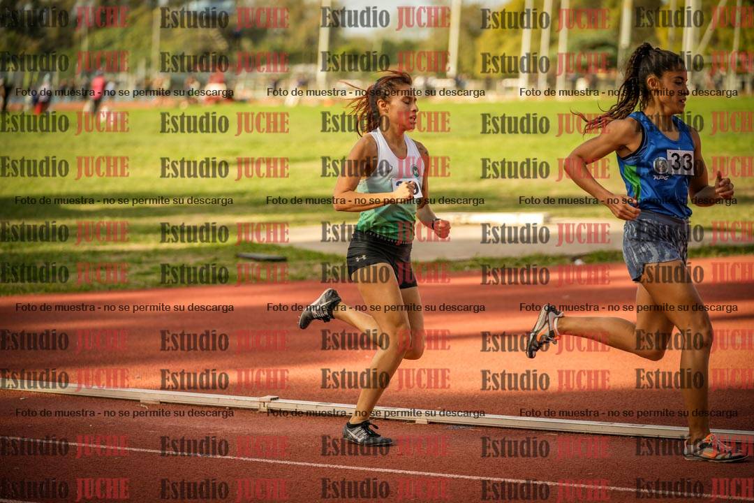 Fotos de los 1500 m llanos de mujeres