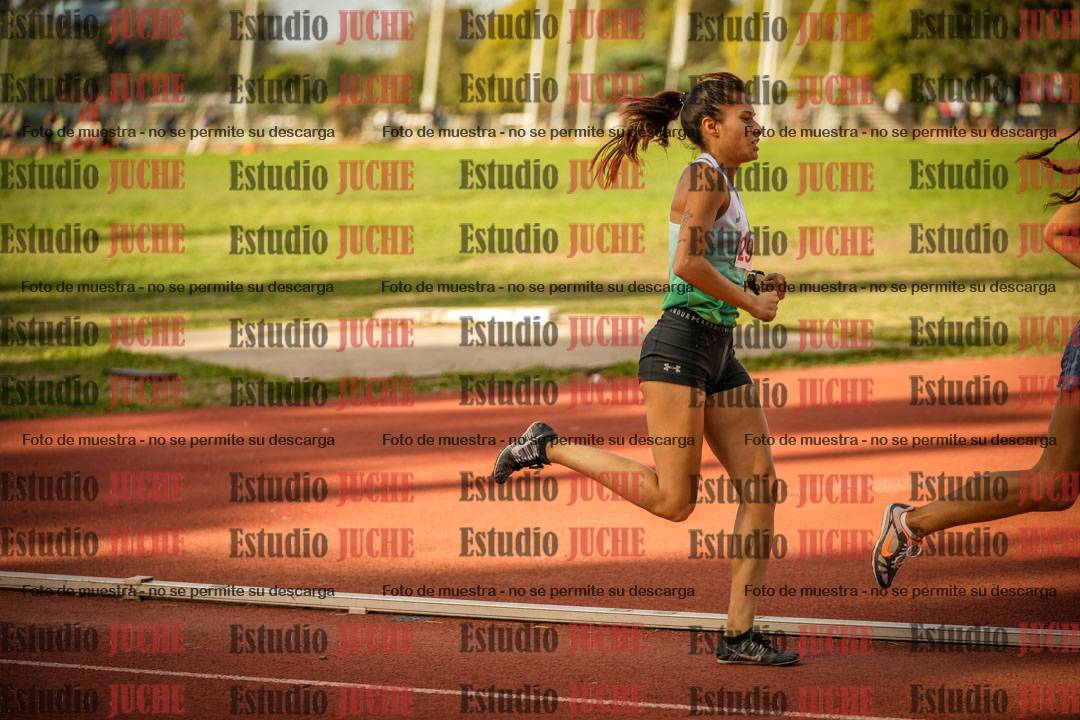 Fotos de los 1500 m llanos de mujeres