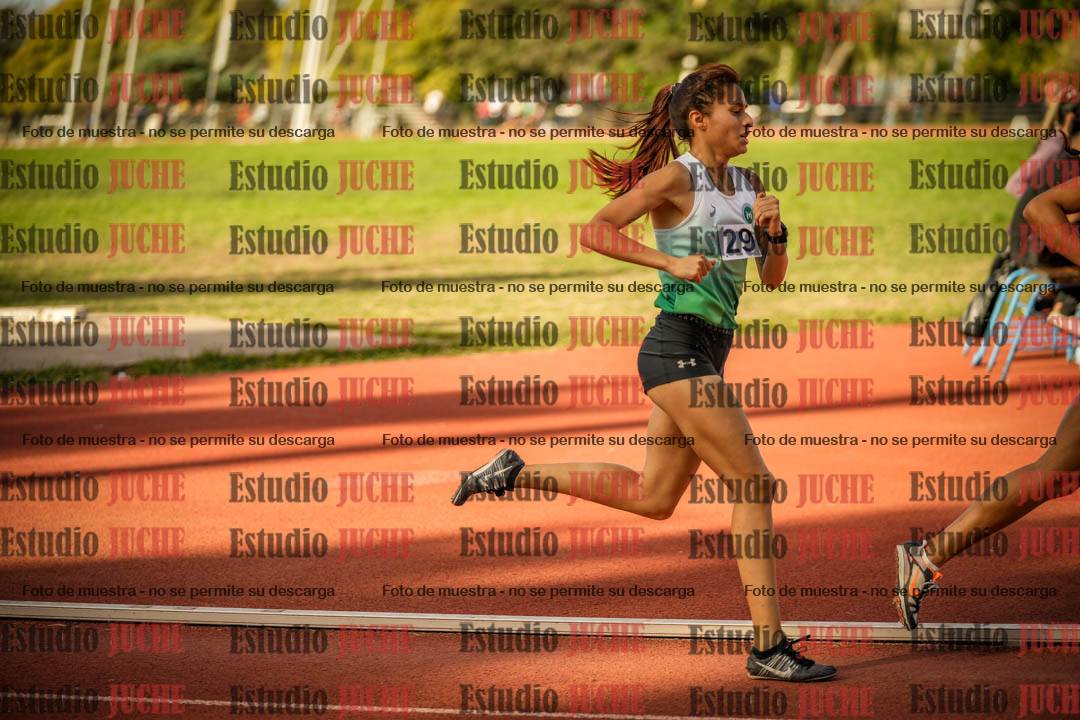 Fotos de los 1500 m llanos de mujeres