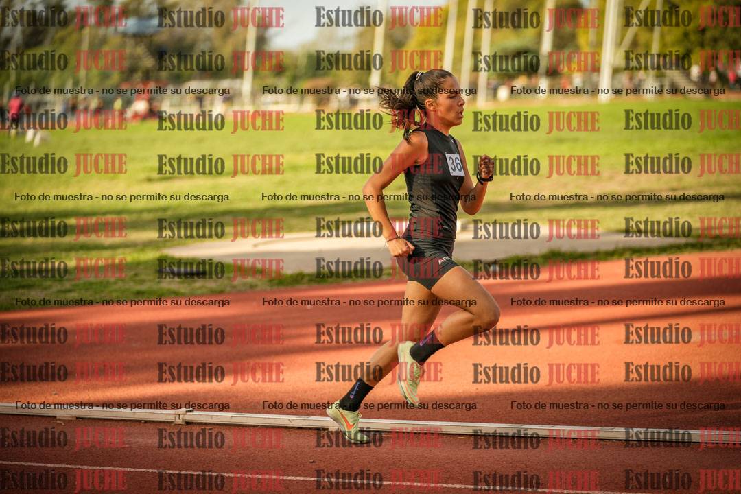 Fotos de los 1500 m llanos de mujeres