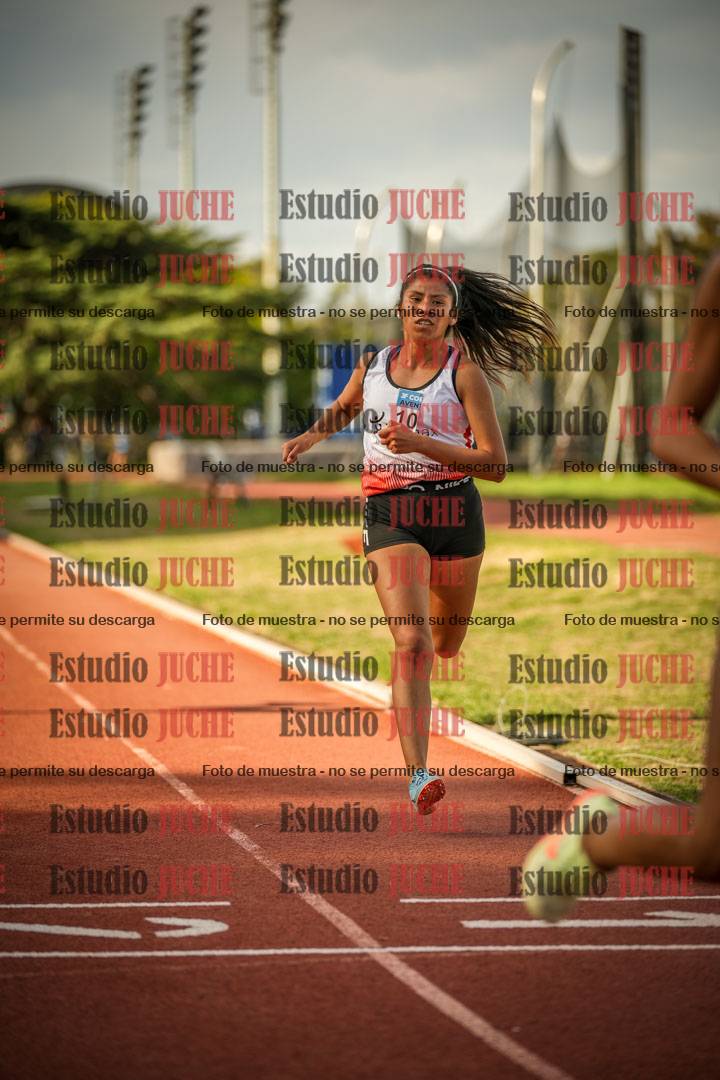 Fotos de los 1500 m llanos de mujeres