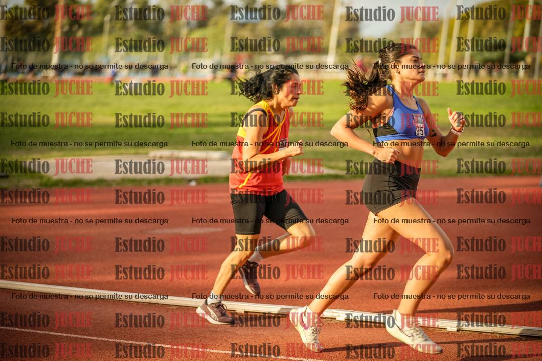 Fotos de los 1500 m llanos de mujeres