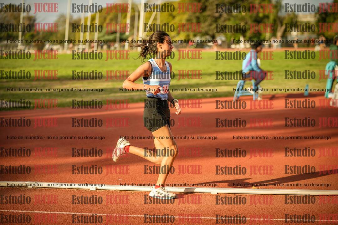 Fotos de los 1500 m llanos de mujeres