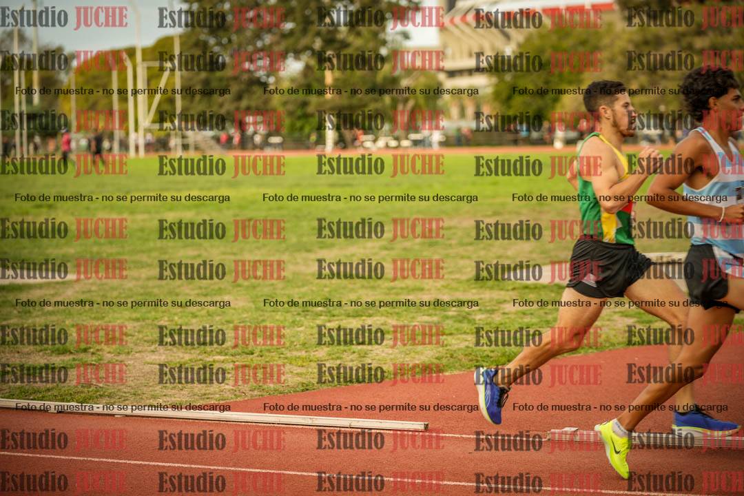 Fotos de los 1500 m llanos de varones
