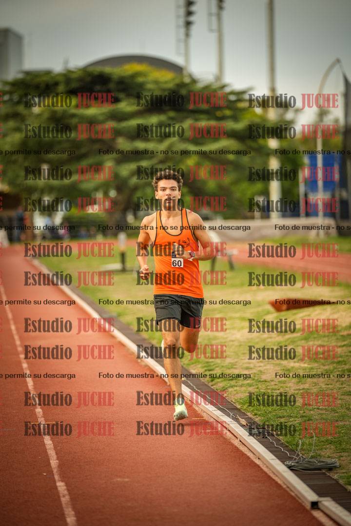 Fotos de los 1500 m llanos de varones