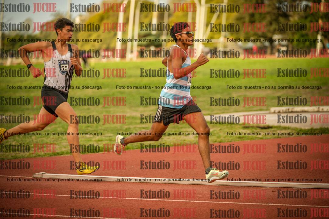 Fotos de los 1500 m llanos de varones