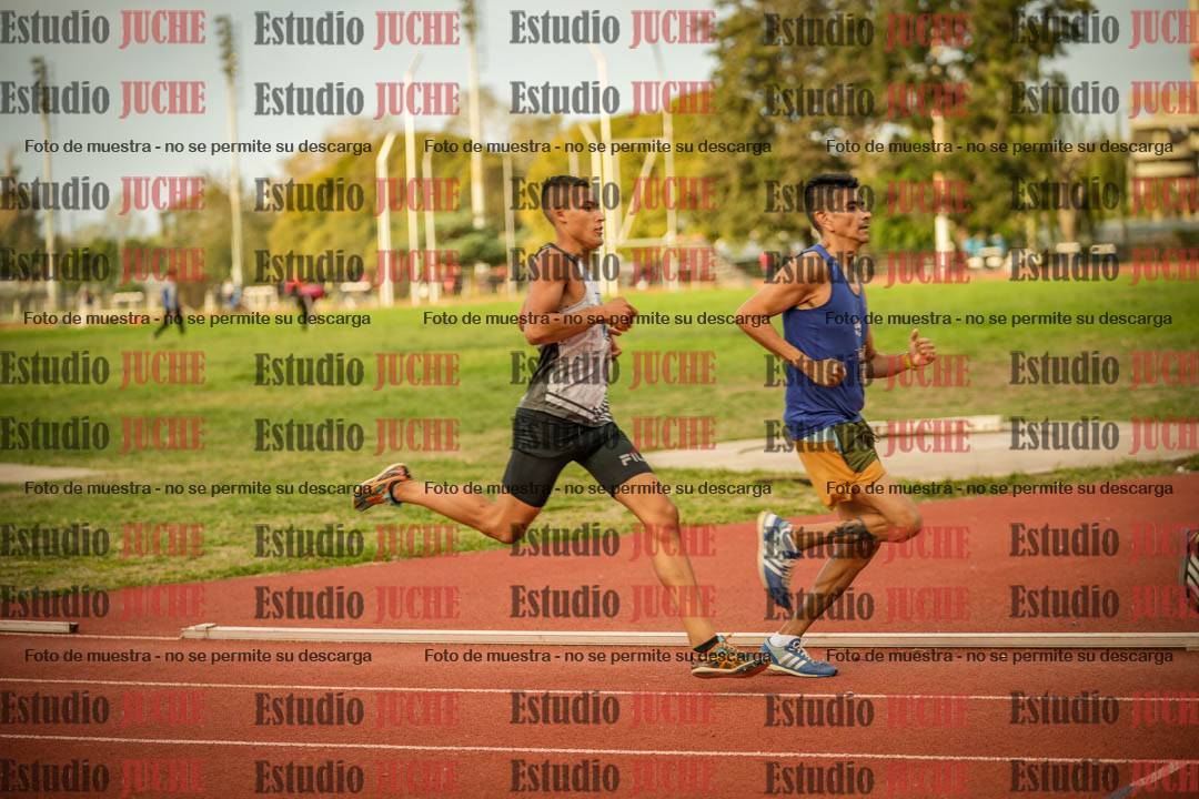 Fotos de los 1500 m llanos de varones