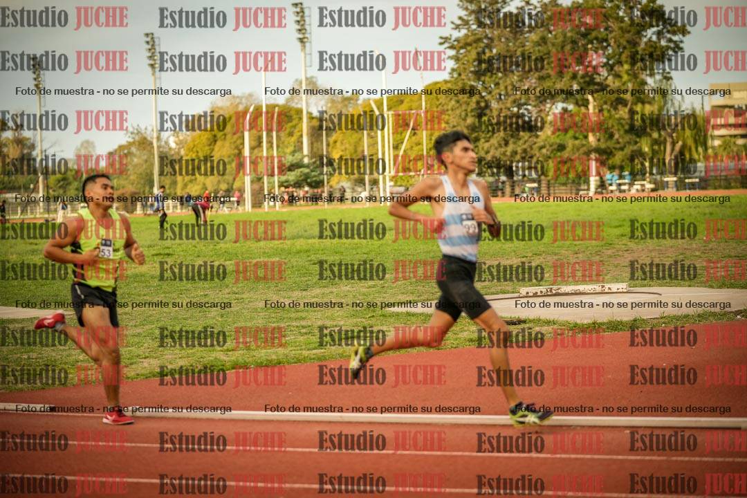 Fotos de los 1500 m llanos de varones