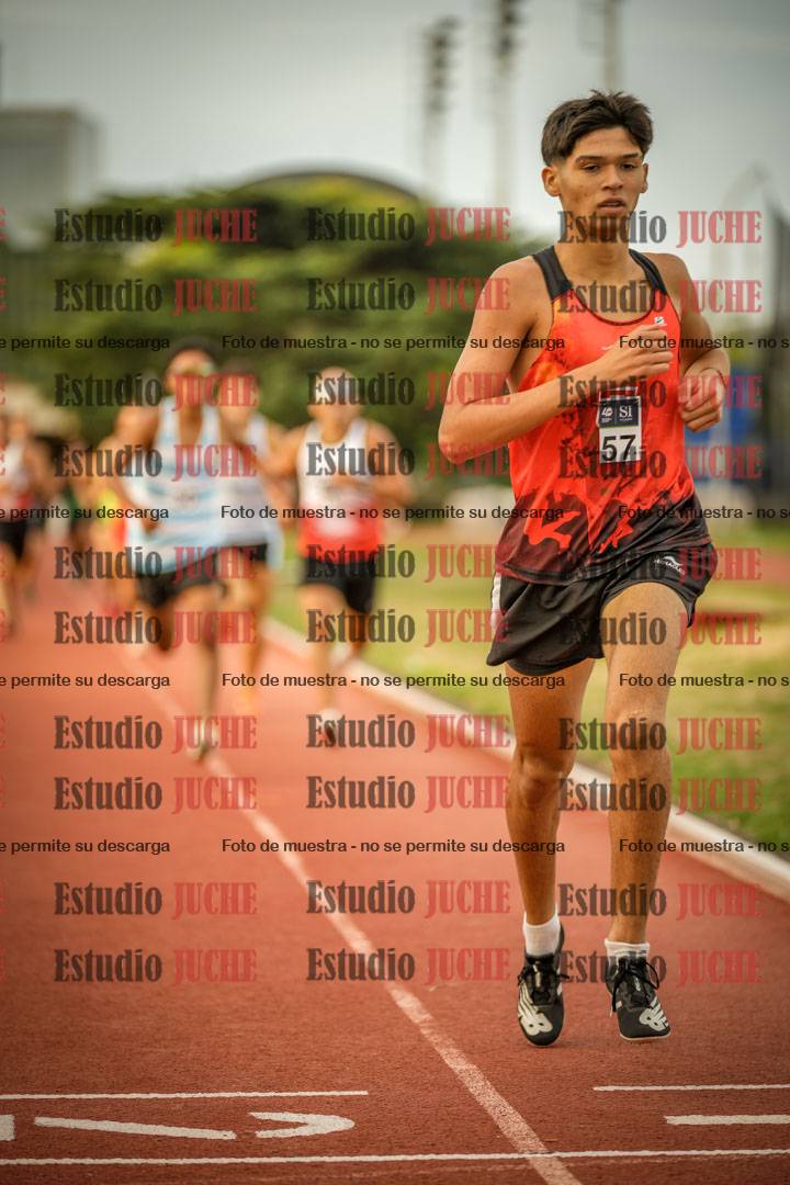 Fotos de los 1500 m llanos de varones