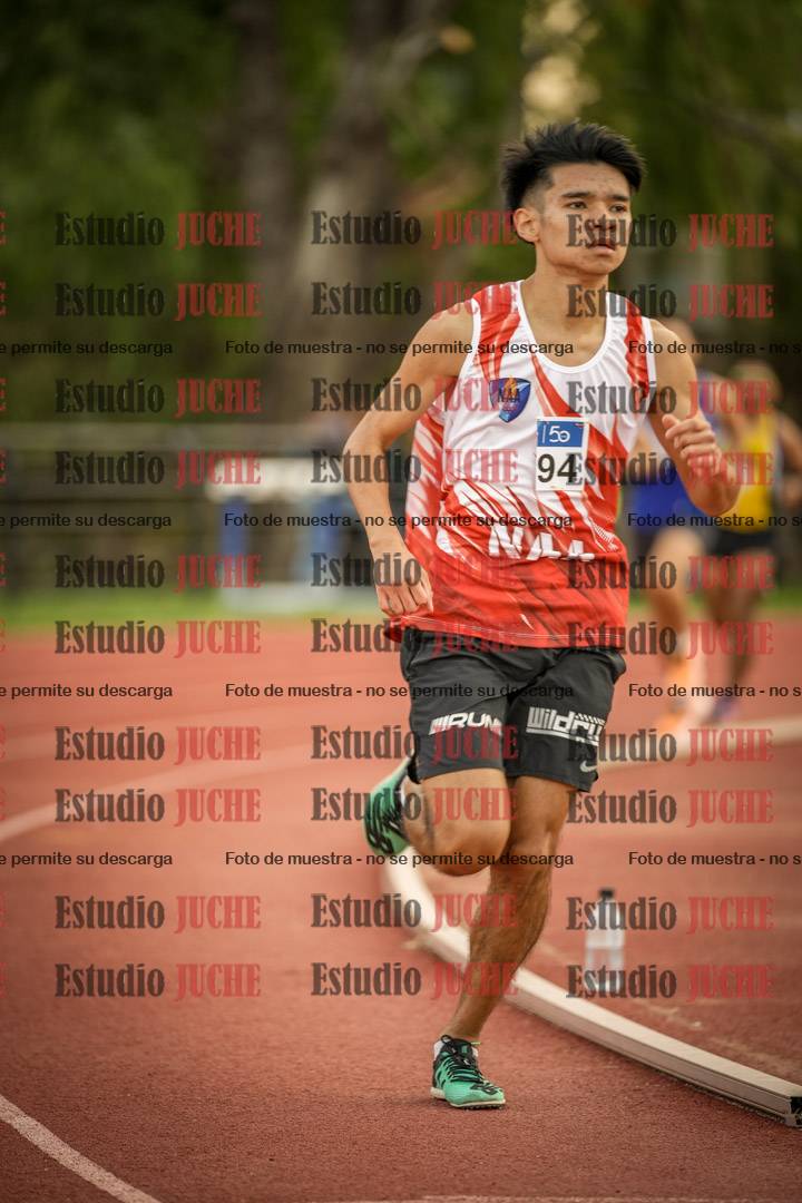 Fotos de los 1500 m llanos de varones