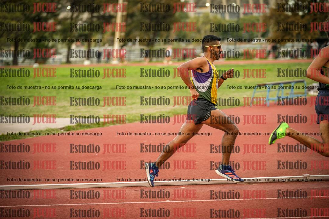Fotos de los 1500 m llanos de varones