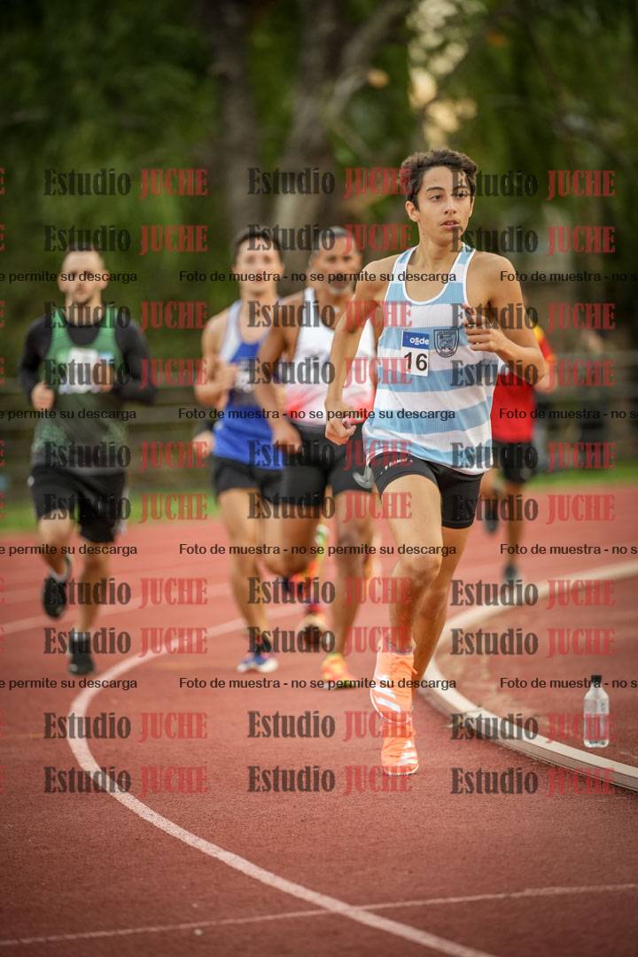 Fotos de los 1500 m llanos de varones