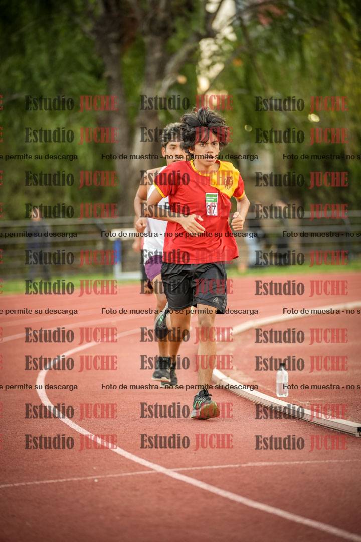 Fotos de los 1500 m llanos de varones