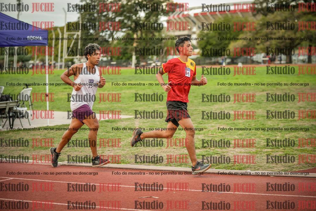 Fotos de los 1500 m llanos de varones
