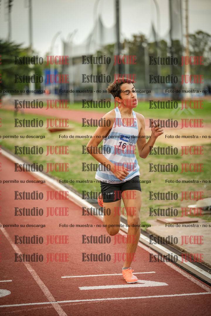 Fotos de los 1500 m llanos de varones