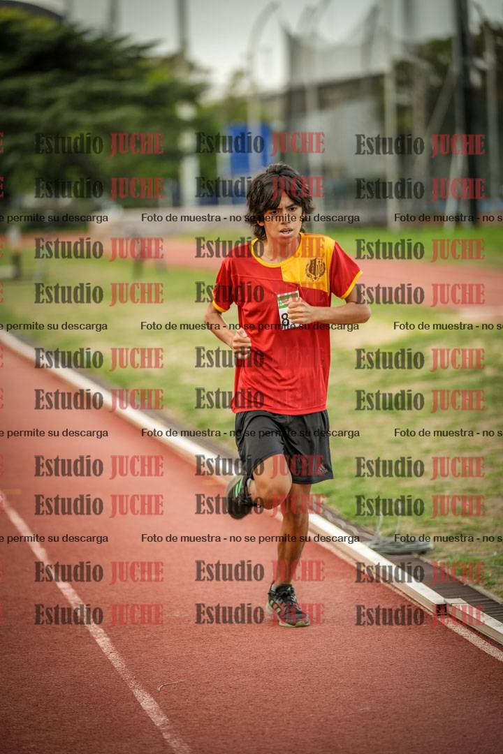 Fotos de los 1500 m llanos de varones