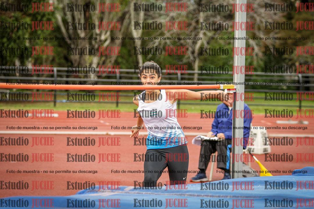 Fotos del salto en alto - incluye todos los grupos