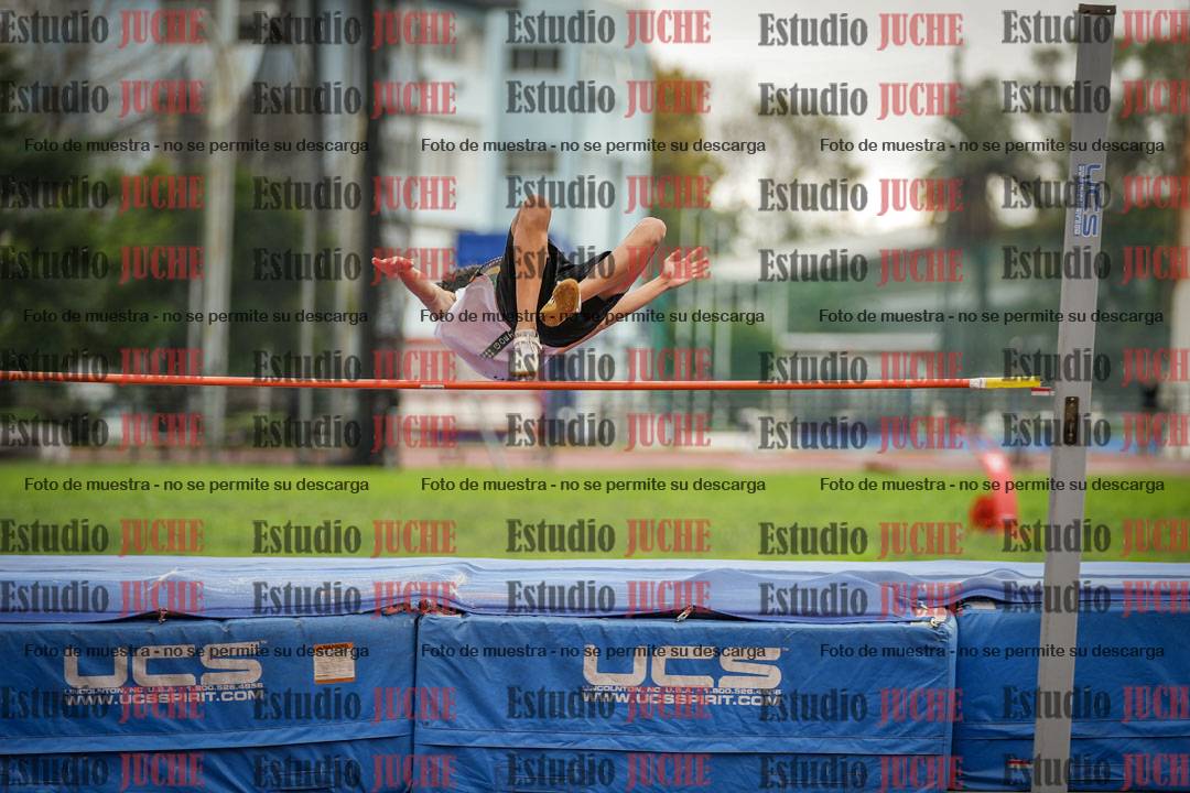 Fotos del salto en alto - incluye todos los grupos