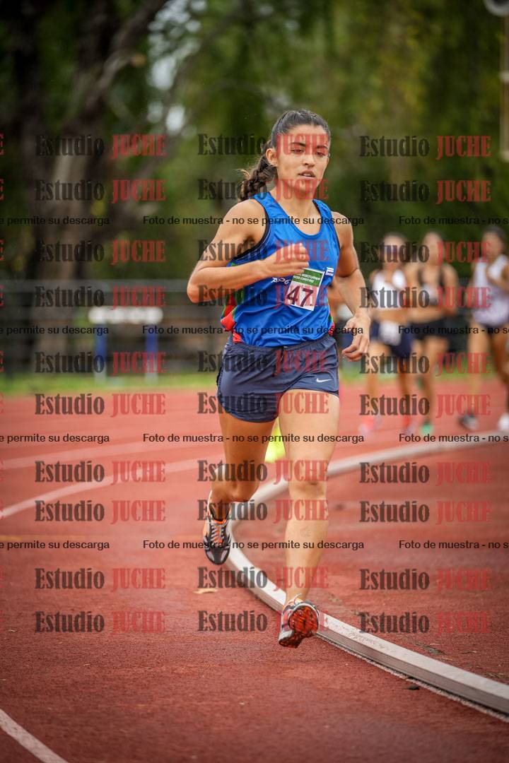 Fotos de los 1500 m llanos de mujeres