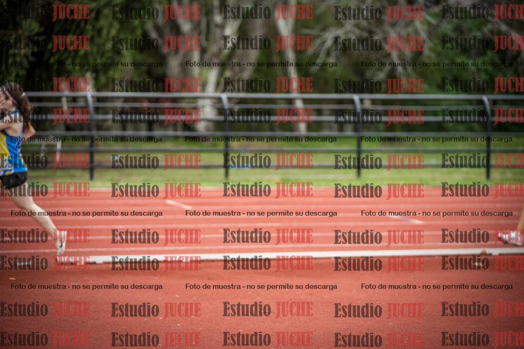 Fotos de los 1500 m llanos de mujeres