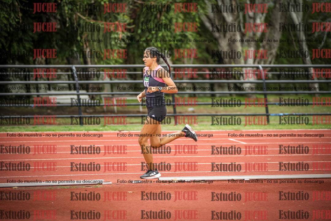 Fotos de los 1500 m llanos de mujeres