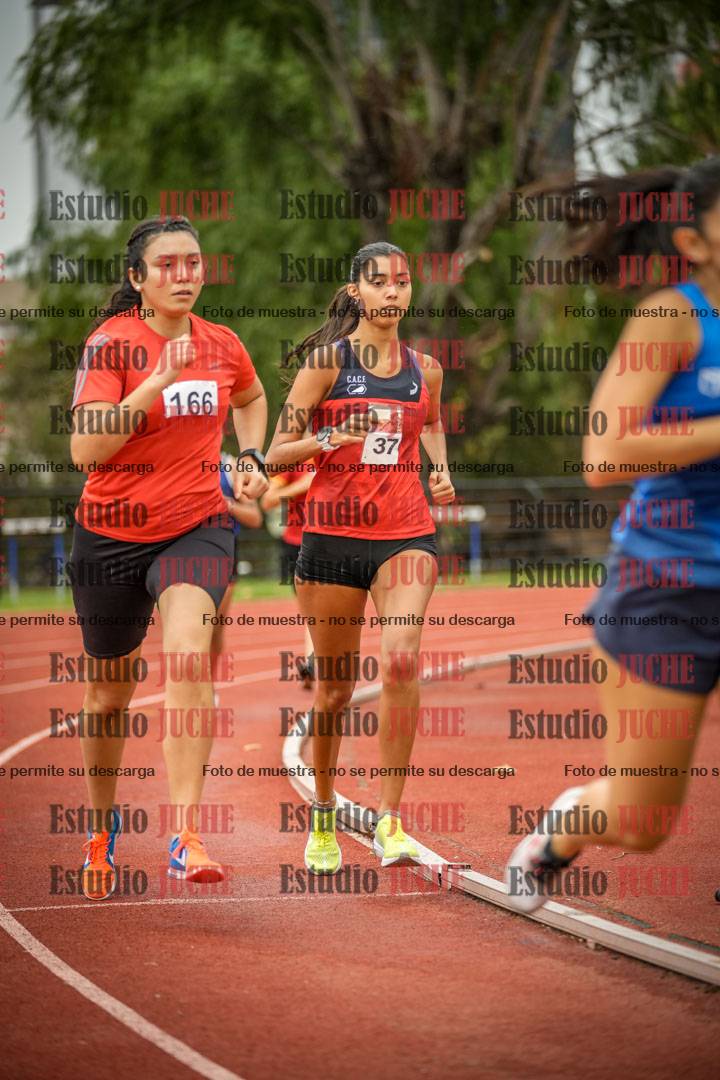 Fotos de los 1500 m llanos de mujeres