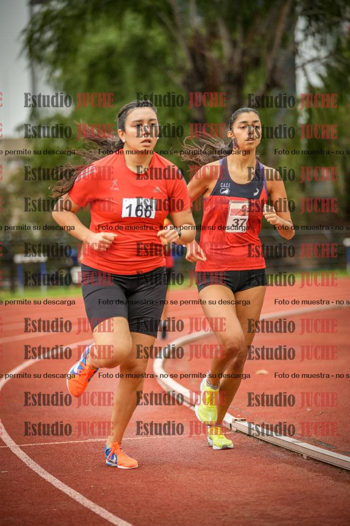 Fotos de los 1500 m llanos de mujeres