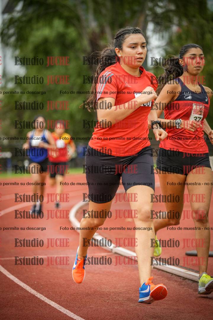 Fotos de los 1500 m llanos de mujeres