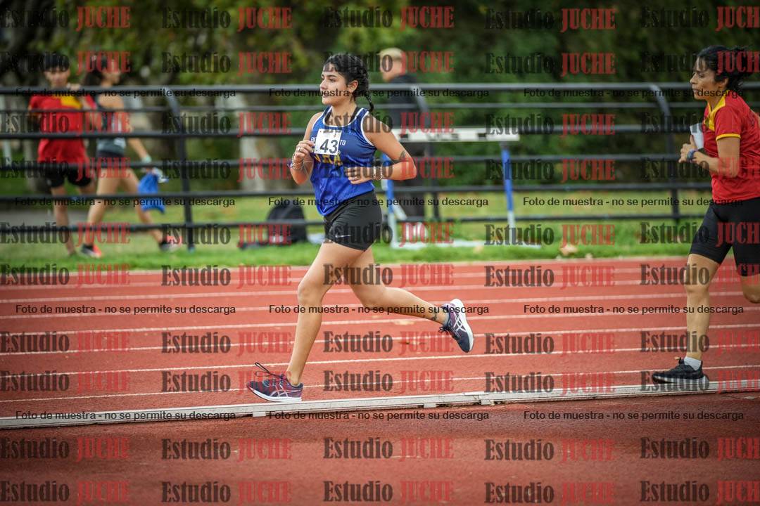 Fotos de los 1500 m llanos de mujeres