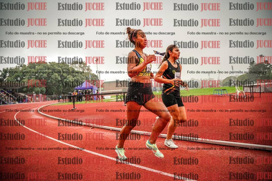 Fotos de los 1500 m llanos de mujeres