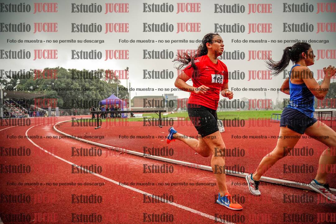 Fotos de los 1500 m llanos de mujeres