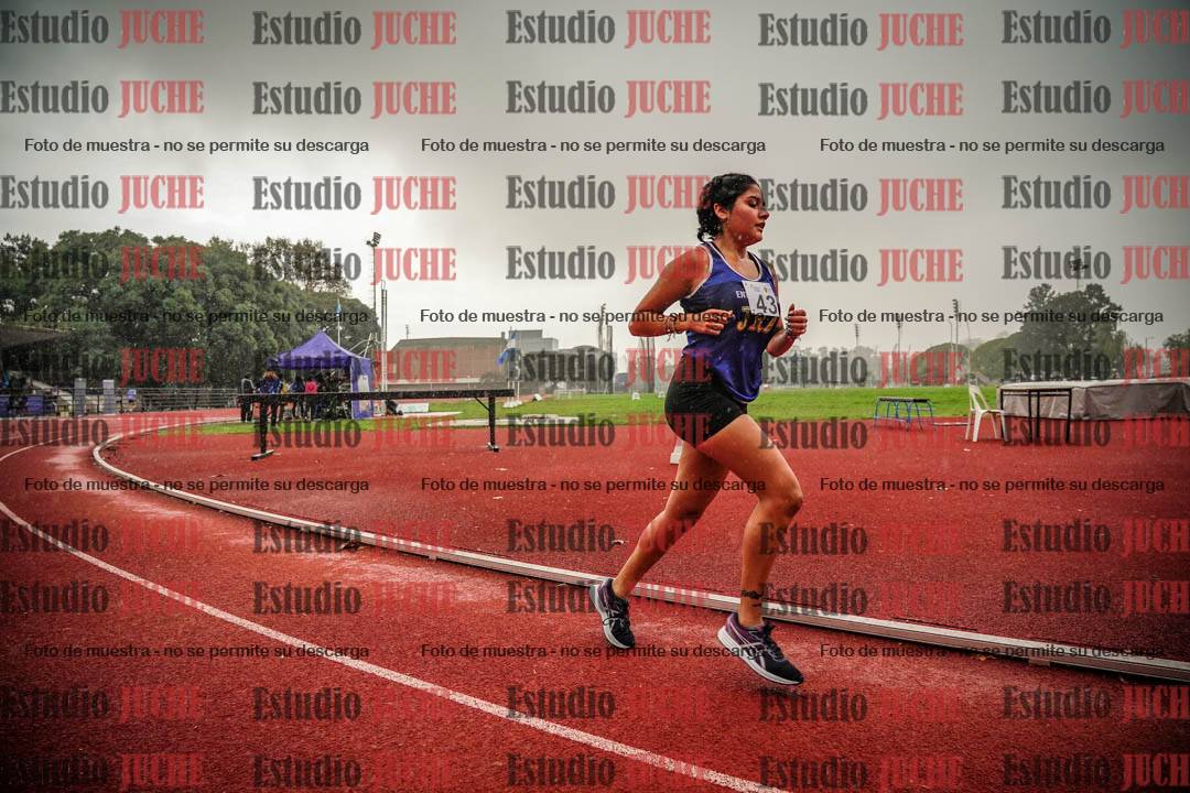 Fotos de los 1500 m llanos de mujeres