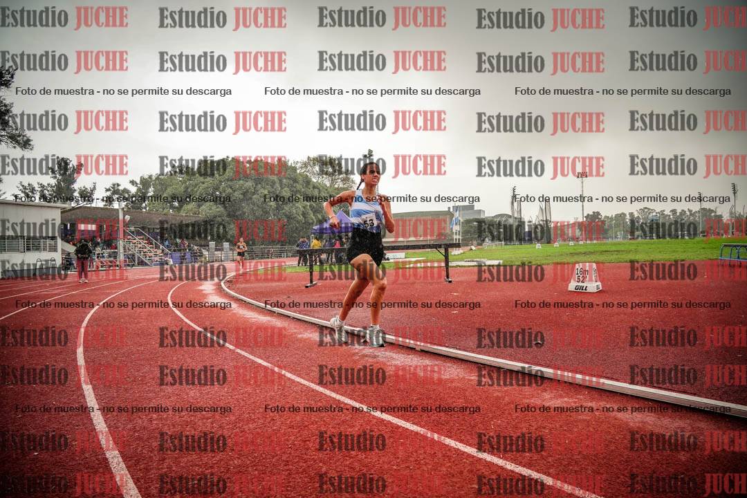 Fotos de los 1500 m llanos de mujeres
