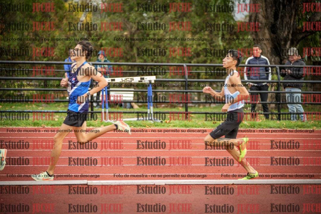 Fotos de los 1500 m llanos de varones