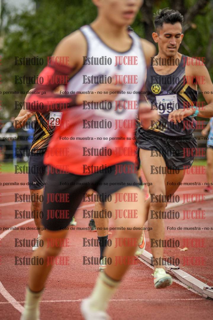 Fotos de los 1500 m llanos de varones