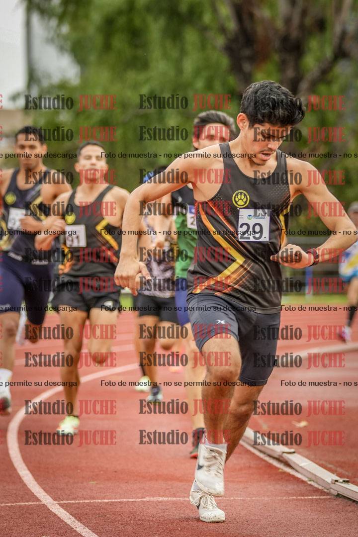 Fotos de los 1500 m llanos de varones