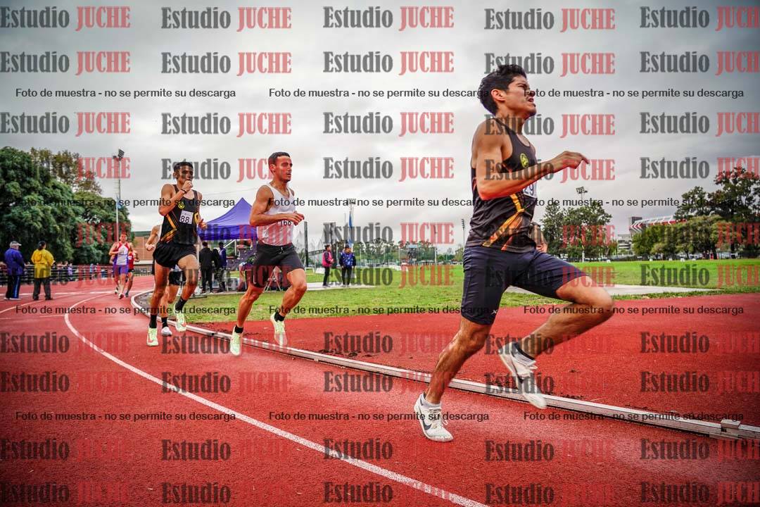 Fotos de los 1500 m llanos de varones