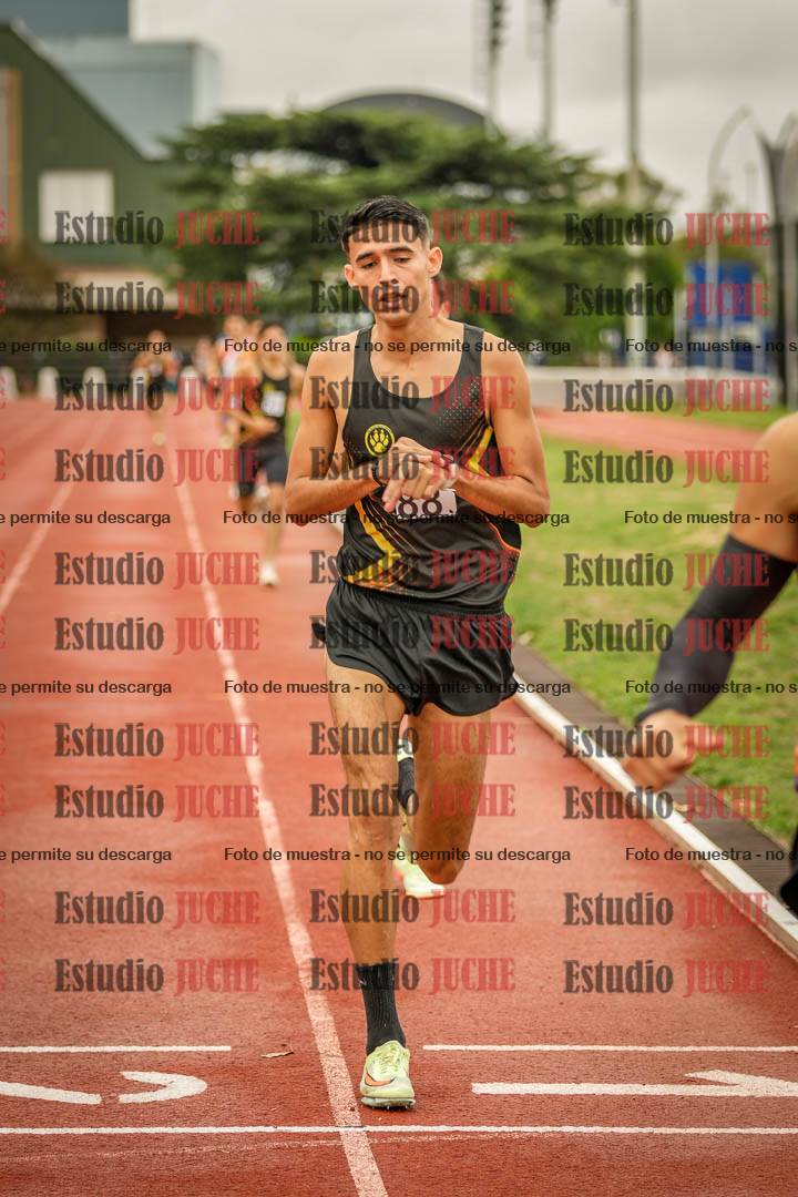 Fotos de los 1500 m llanos de varones