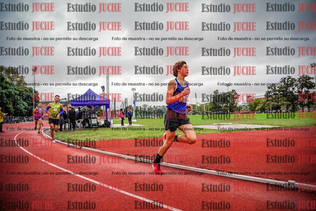 Fotos de los 1500 m llanos de varones