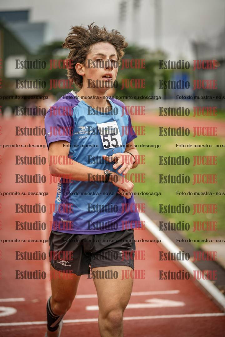 Fotos de los 1500 m llanos de varones